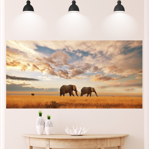 25 African Elephants