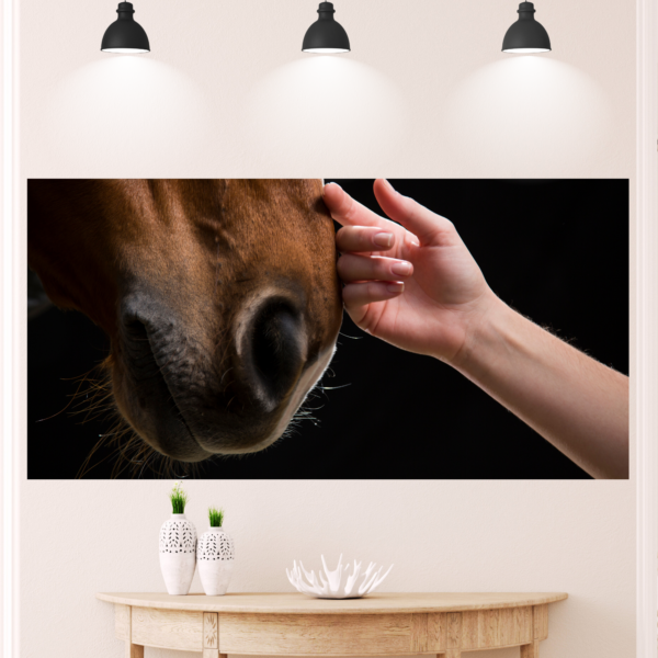 36 Hand Petting Horse