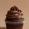 Chocolate Cupcake