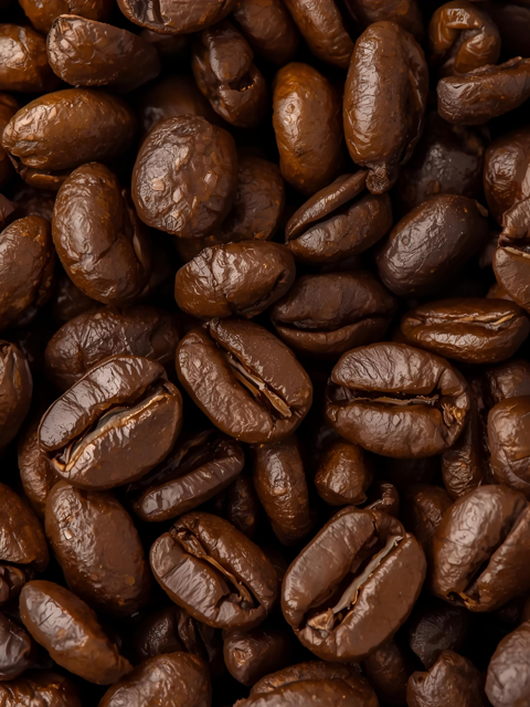 Roasted Coffee Beans