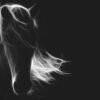 Fractal Horse