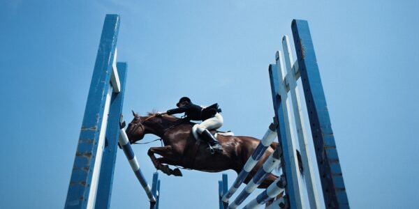 Show Jumping Horse