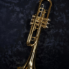 Brass Trumpet